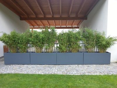 Blumentrog-Flexi GmbH